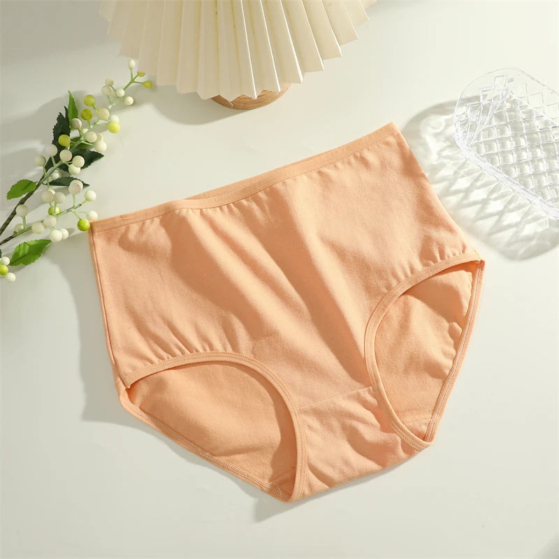 BOMULLSDAMTROSOR STORA STORLEKAR SÖMLÖST UNDERKLÄDER